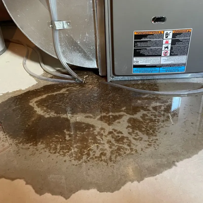Pipe Burst and Leak Restoration in Lexington, MS