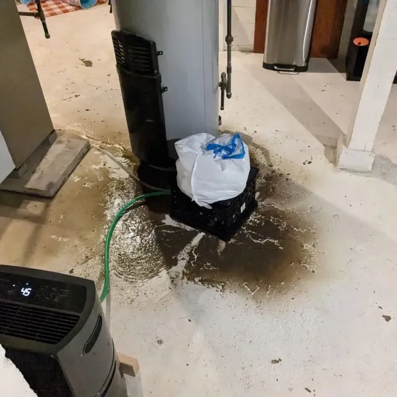 Sewage Backup Cleanup Service in Lexington, MS
